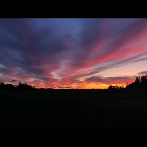 Meet your Posher, Gracie - Picture 1 of 1